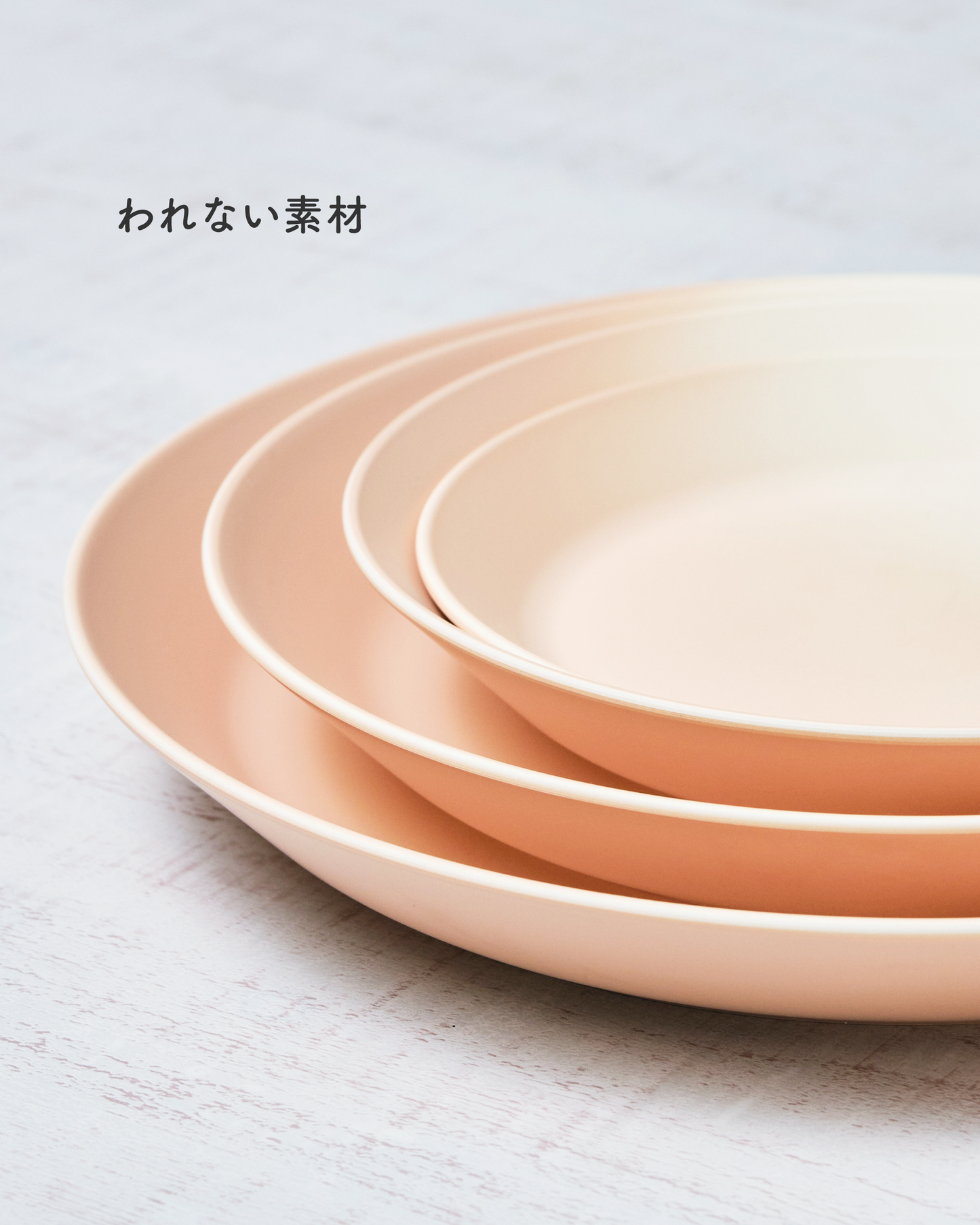 【予約注文】【NEW】Daily Plate われない深皿