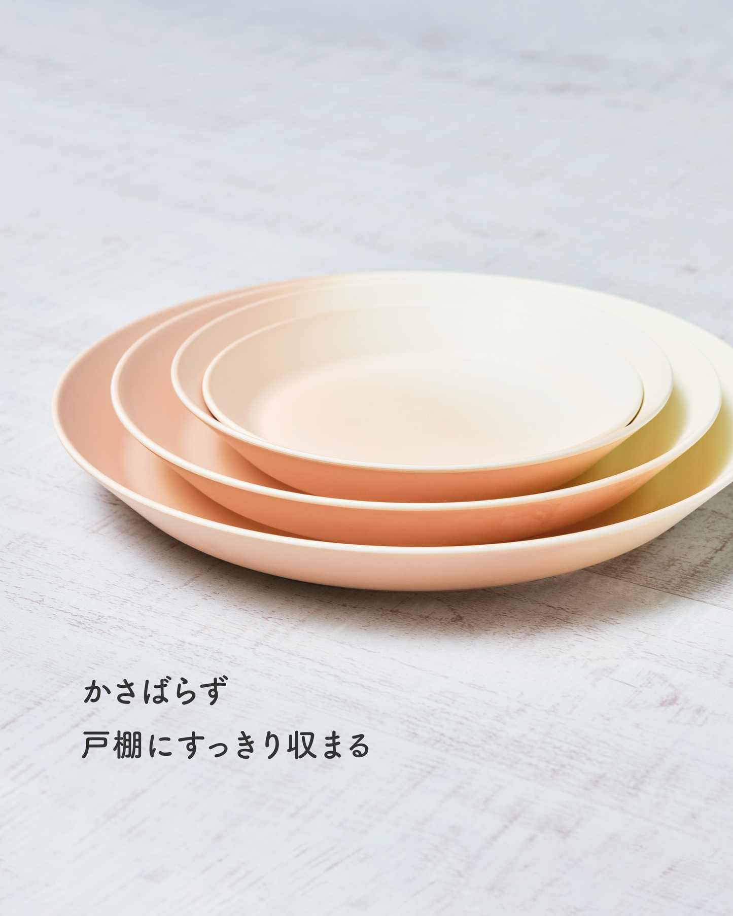 【予約注文】【NEW】Daily Plate われない深皿